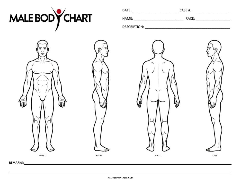 Free Printable Blank Male Body Chart Medical Diagram PDF