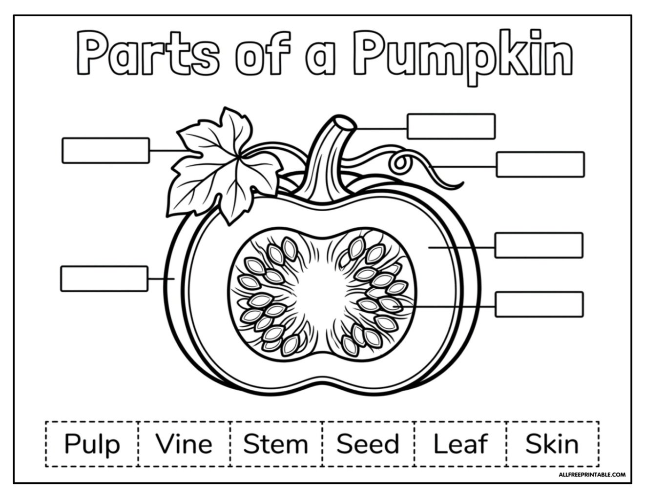 Free Printable Parts of a Pumpkin Cut and Paste Worksheet PDF