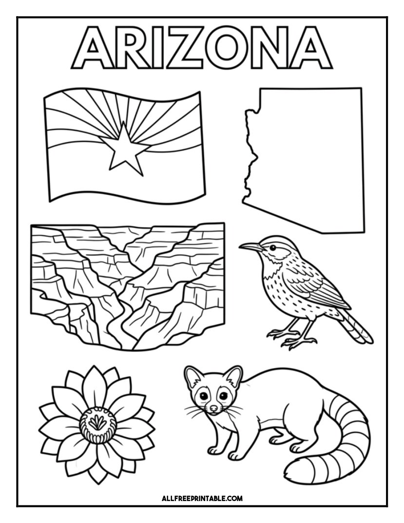 Free Printable Arizona State Coloring Page – Flag, Map & Symbols