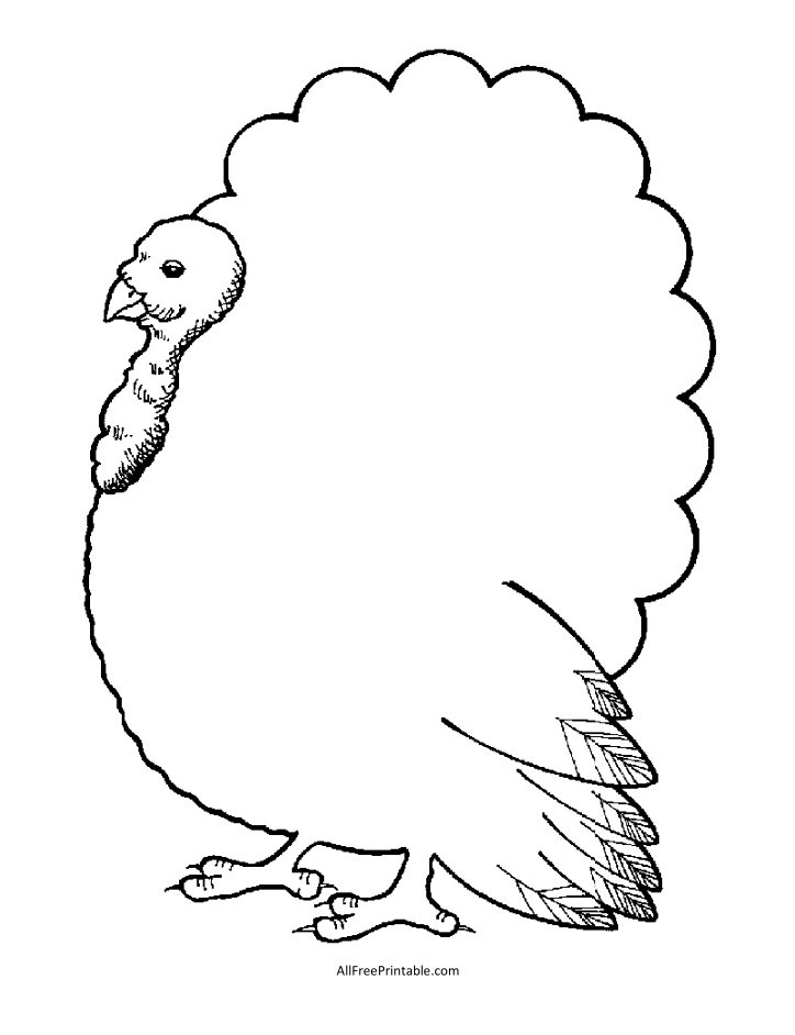 Free Printable Turkey Outline Template