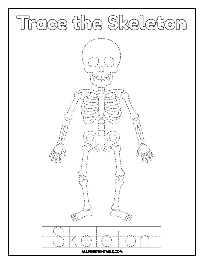 Free Printable Skeleton Tracing Practice Coloring Page PDF
