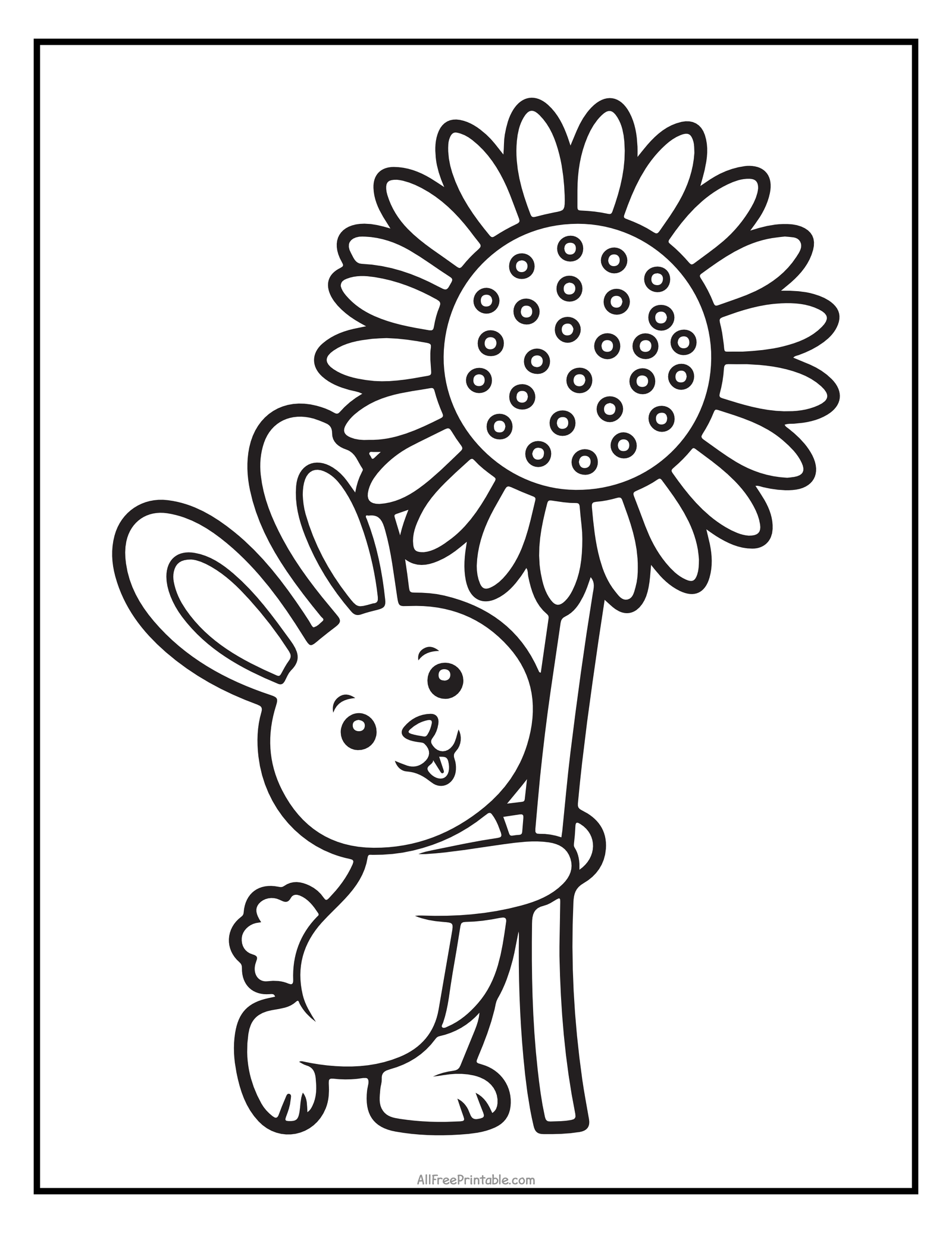 Sunflower Bunny